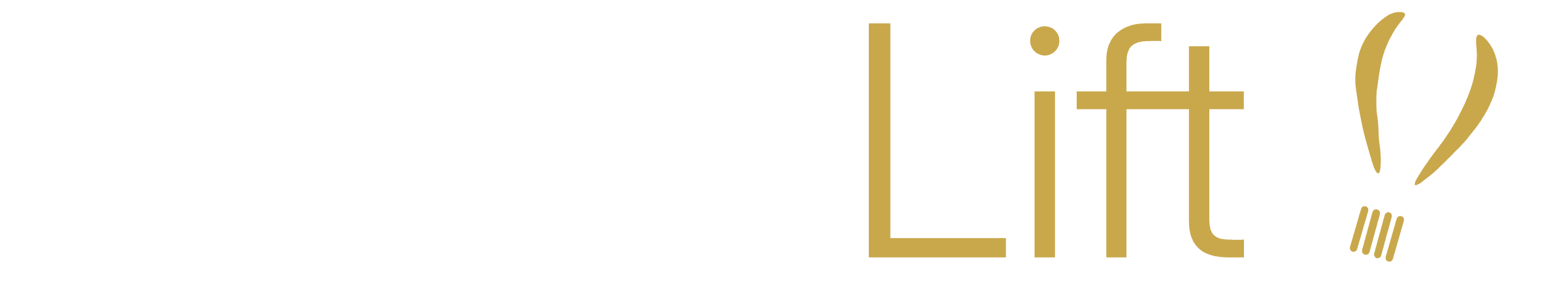 assetlift-horizontal-reverse@3x